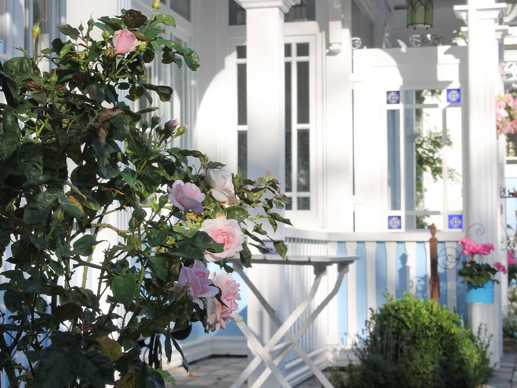 One-Bedroom Apartment with Balcony,162992373:JPEG