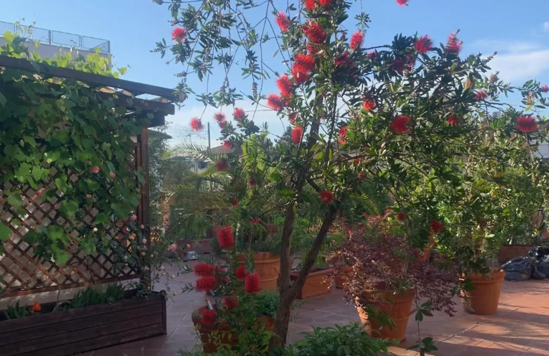 La Terrazza Da Ernestina-1