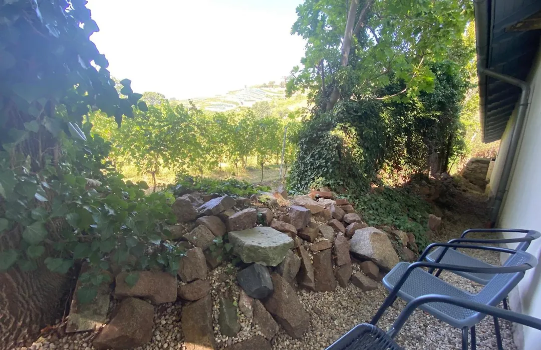 Villa Jordan-1