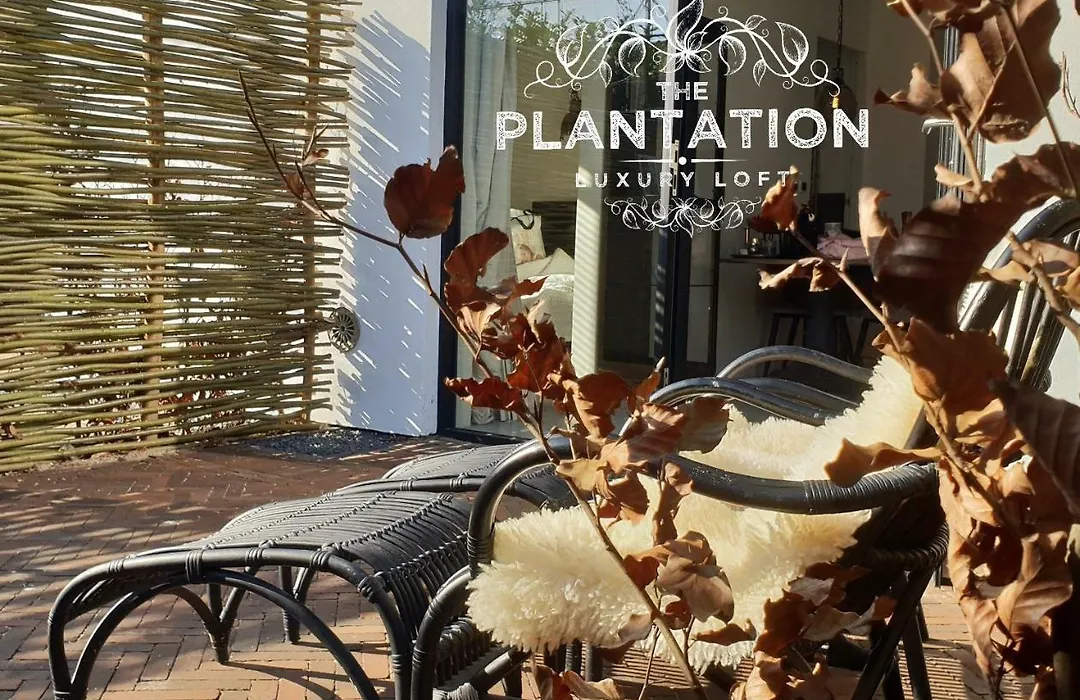 The Plantation Luxury Loft-1