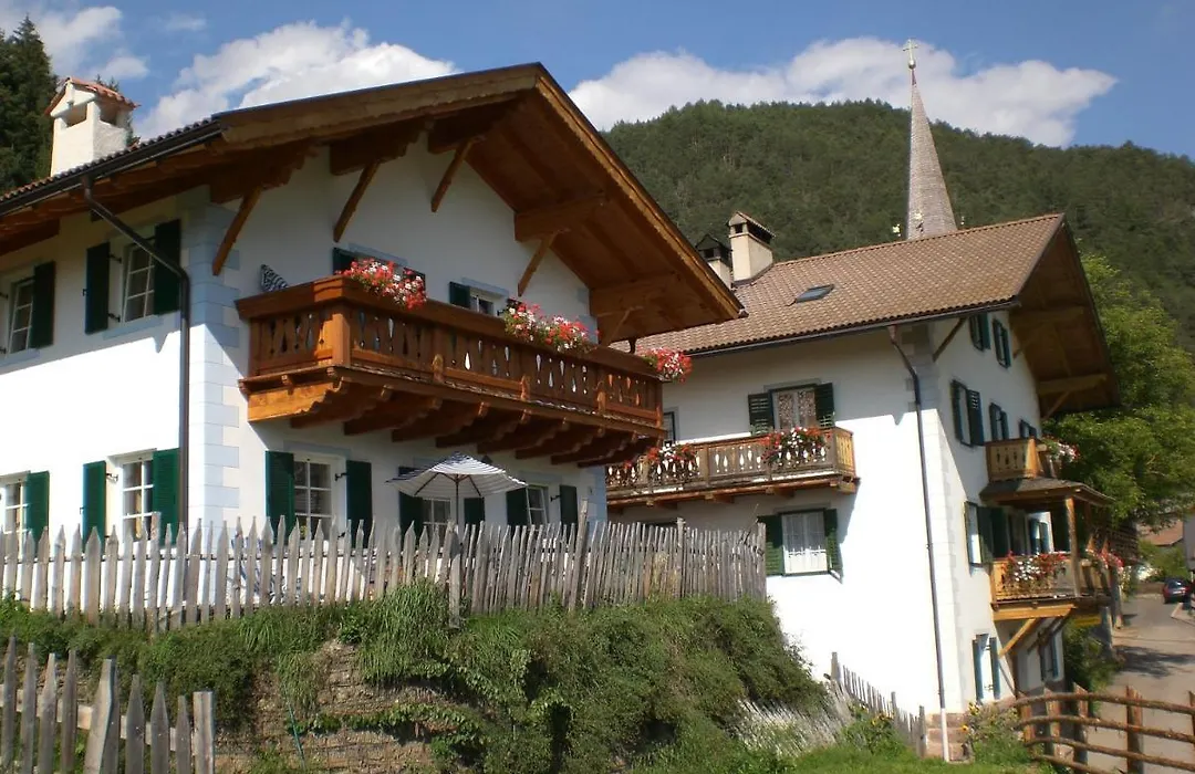 Hofer Hof-1