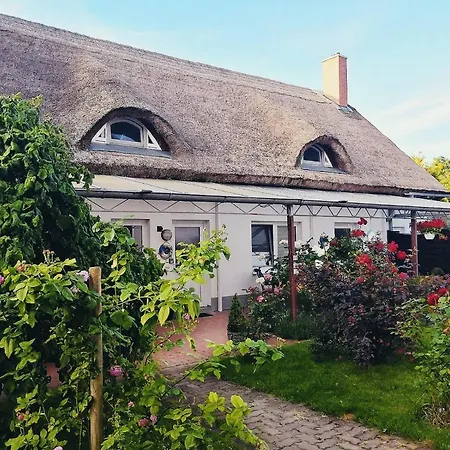 Reet Landhaus Rügen-2