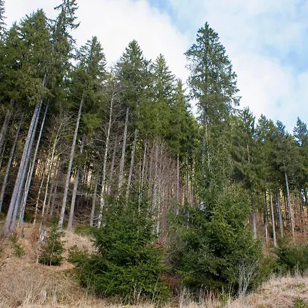 Gemuetliche Ferienwohnung - Mitten Im Schwarzwald-3
