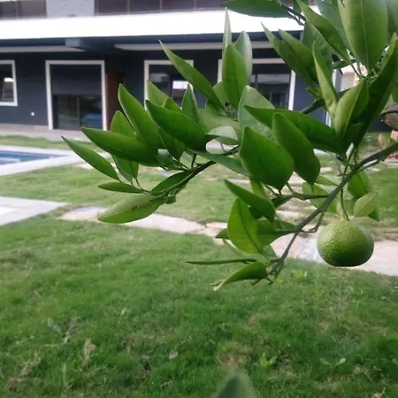 Mali Garden Residence-2