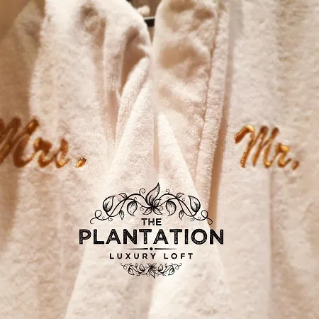The Plantation Luxury Loft-2