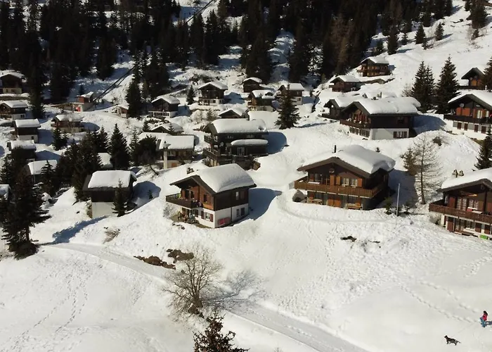 Chalet Foresta