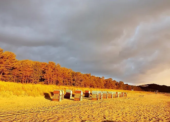 Haustierfreundliches Hotel: Villa Mar Baabe