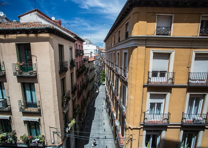 Haustierfreundliches Hotel: Petit Palace Plaza Mayor