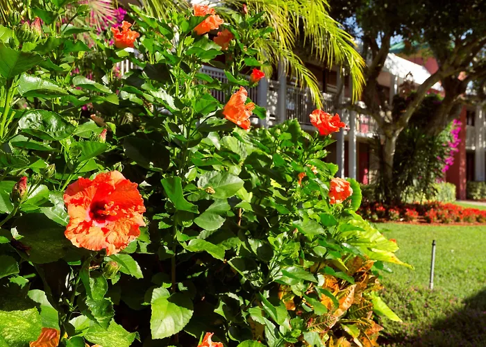 Collins Hotel Naples