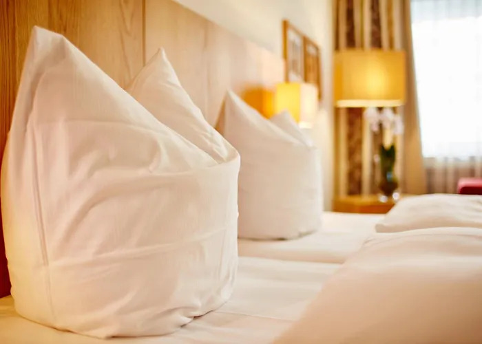 Hotel Falken