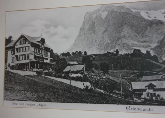 Restaurant Alpina