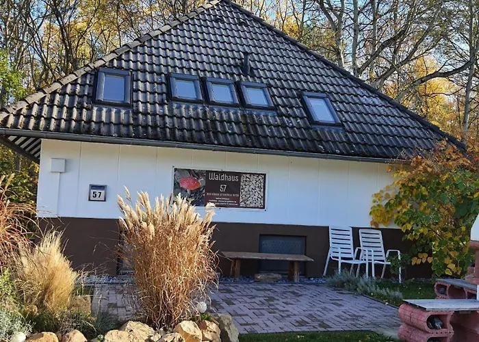 Waldhaus 57 Ferienpark Silbersee Hessen 2-6 Personen Hund Erlaubt Wald See