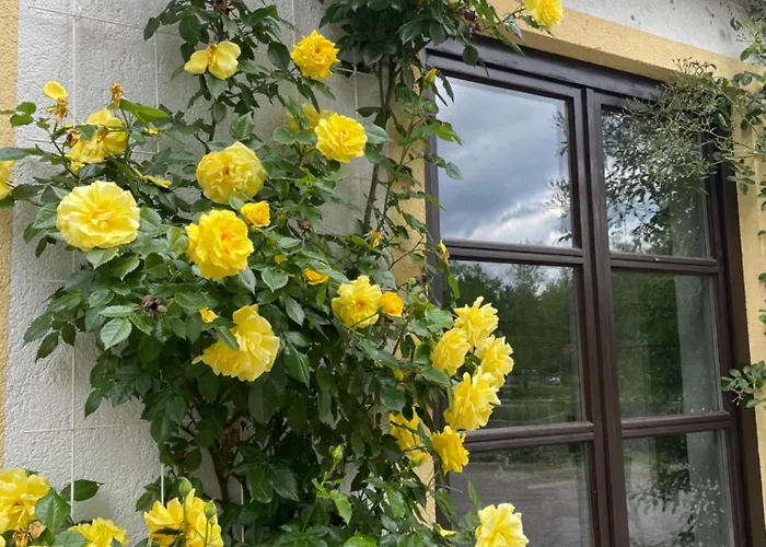 Günstiges Hotel: Gästehaus Altes Fährhaus