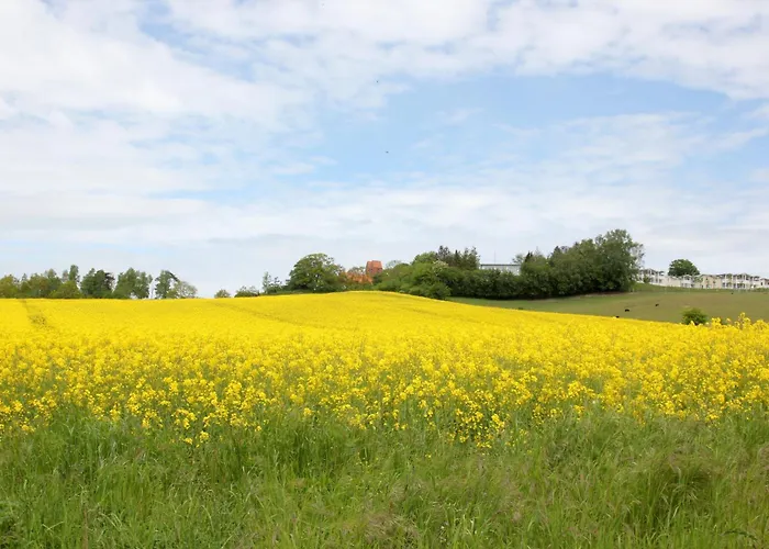 Villa Antje Ferienwohnung 10 mit gratis Sauna- und Schwimmbadnutzung im AHOI Sellin