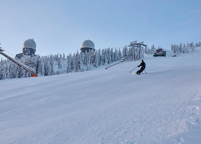Berghotel Mooshütte am Arber, Naturidyll auf 950H