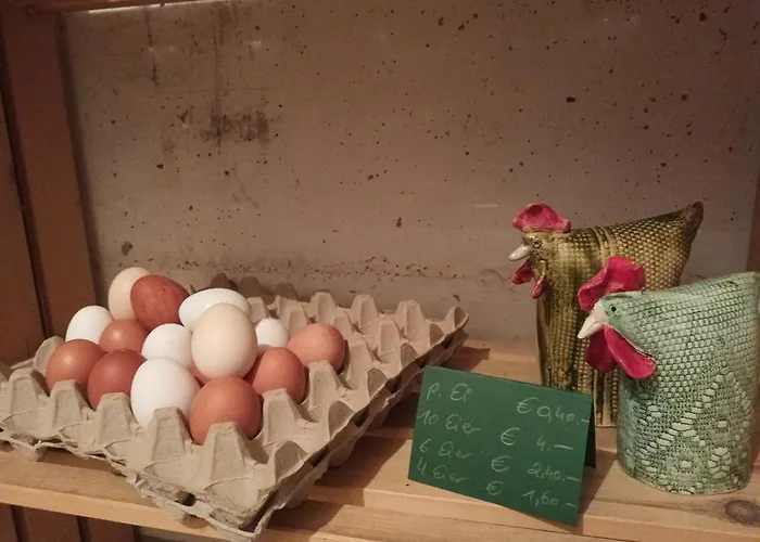 Haustierfreundliches Hotel: Haus Hagspiel