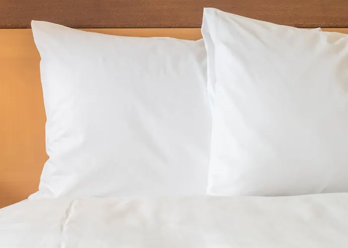 Holiday Inn Toronto Downtown Centre By Ihg