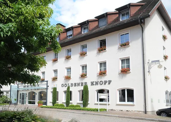 Ringhotel Goldener Knopf