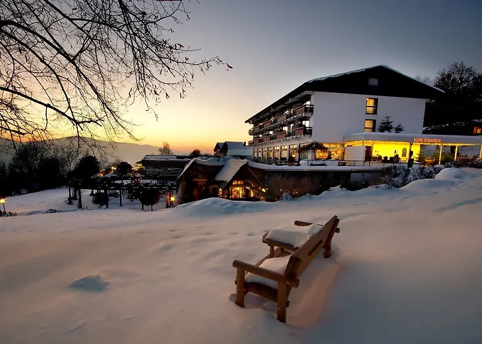 Hotel: Hotel Sonnenhof Lam