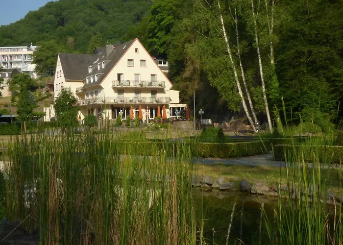 Hotel Alte Muehle