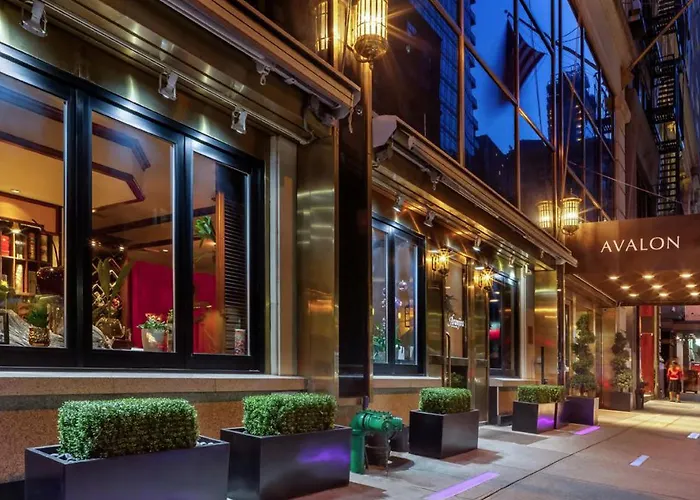 4-Sterne-Hotel: Avalon Hotel